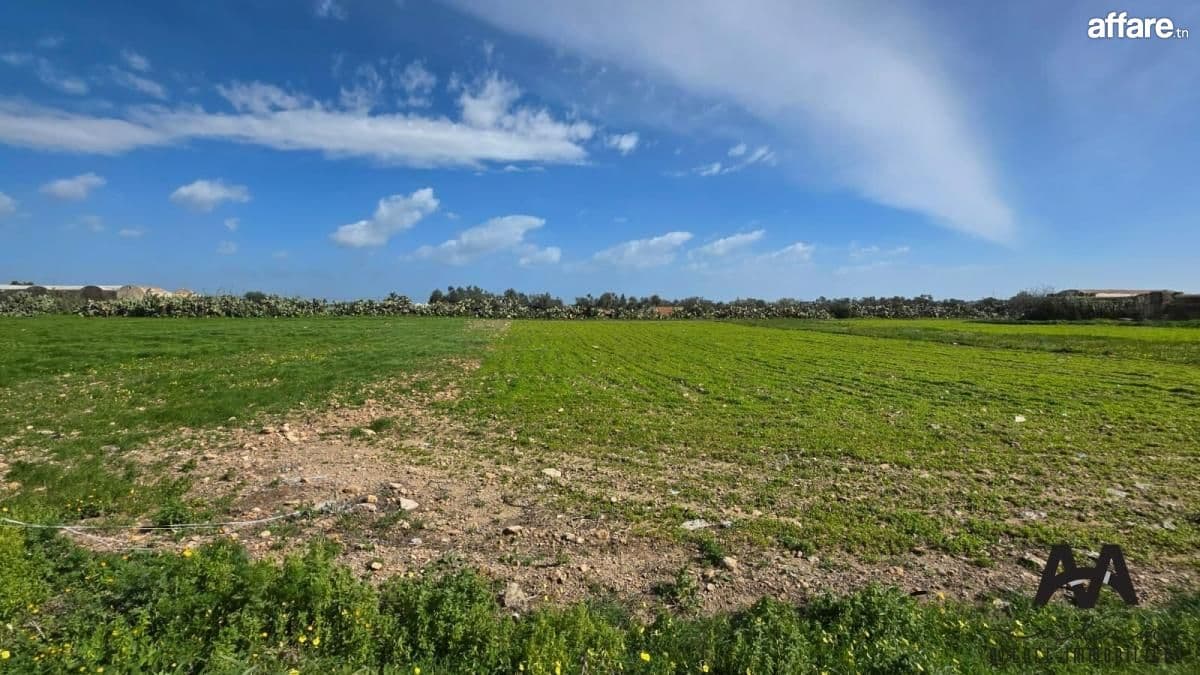 Terrain agricole titré de 1 024 m² à Korba
