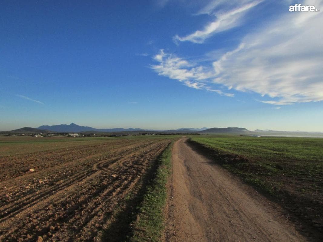Terrain nu 7h5 fraksine