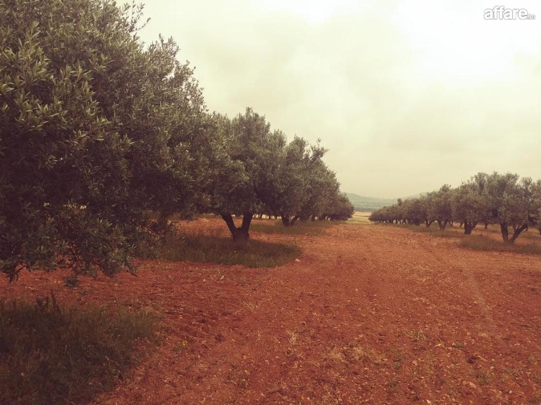 Un terrain agricole 7h5 