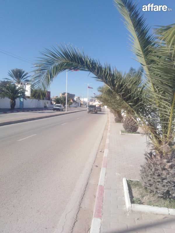 Terrain agricole de 600 h 144000 zitoun a mornag