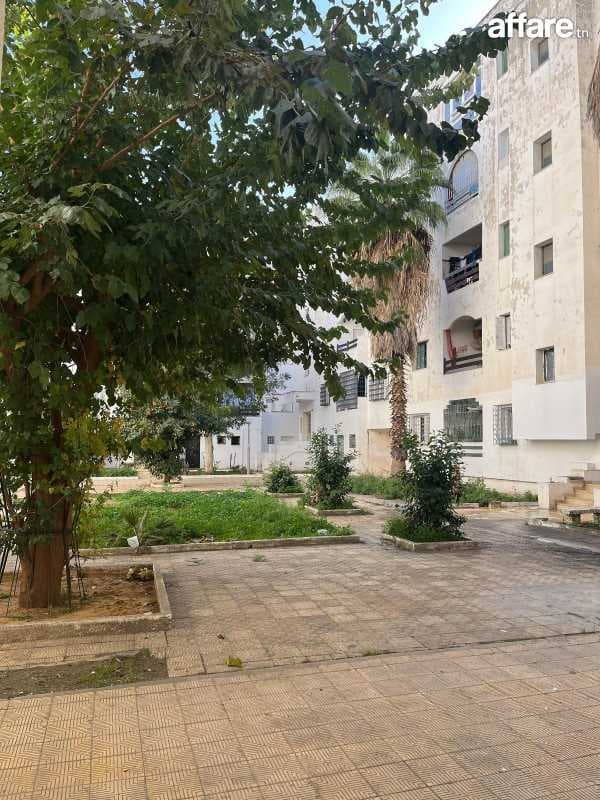 appartement a vendre 