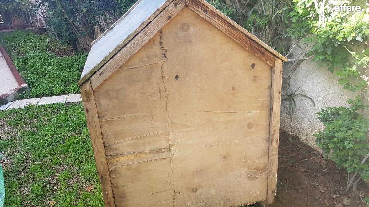 niche de chien