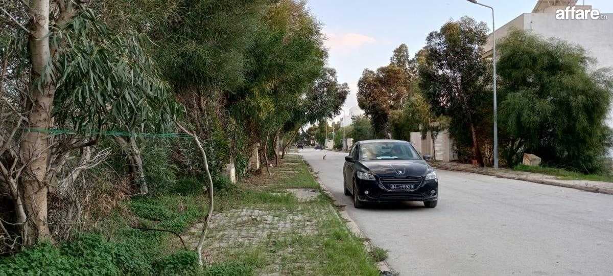 à vendre à raoued 