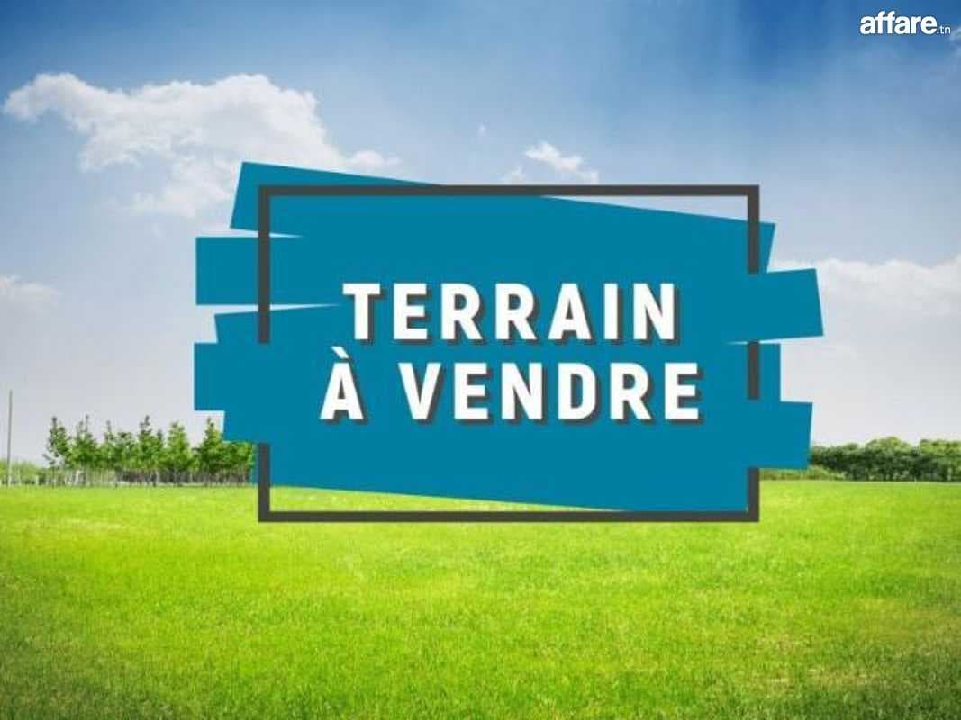 Lot Terrain 266 m2 TF à Raoued Plage