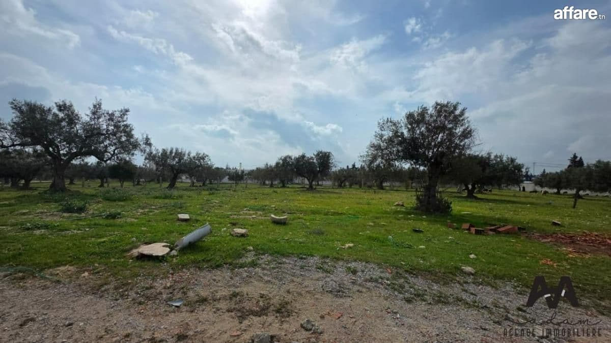 Terrain de 1 000 m² à El Besbassia – Hammamet