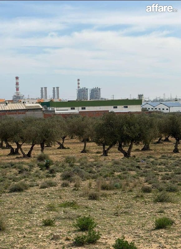 Vente terrain constructible Sousse , 30.000 m²