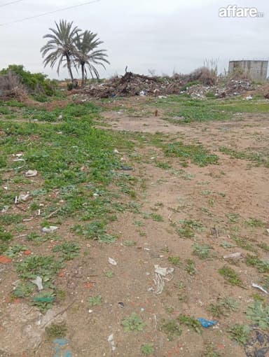 Lot de 346 m2 à vendre à la soukra
