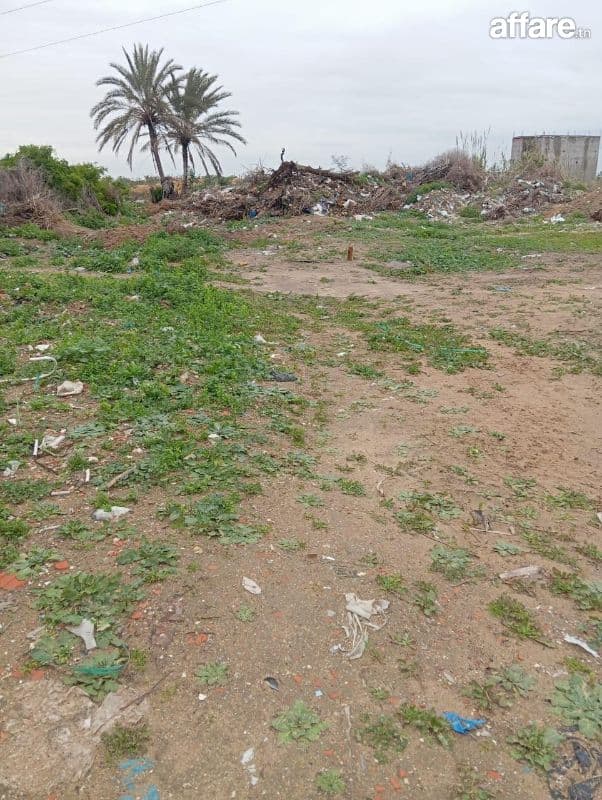 Lot de 346 m2 à vendre à la soukra