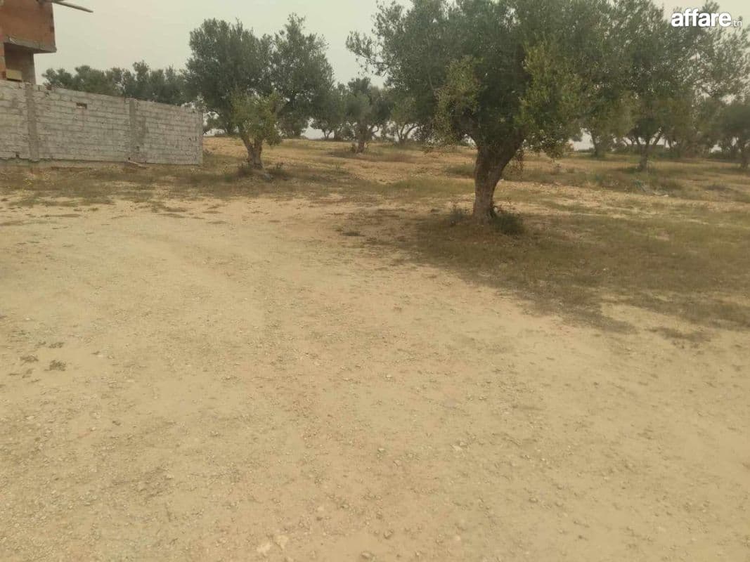 vente de lots de terrain constructibles à Soliman