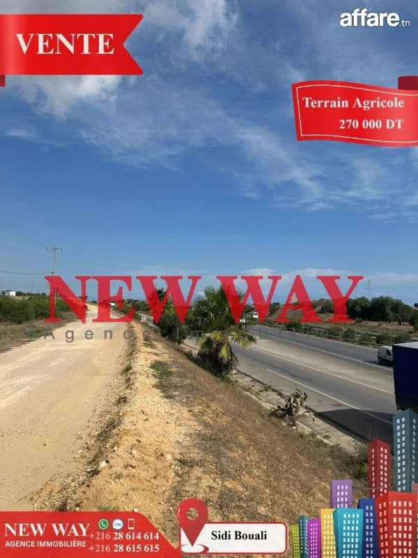 Terrain Agricole à Sidi Bouali près de l'autoroute et GP1