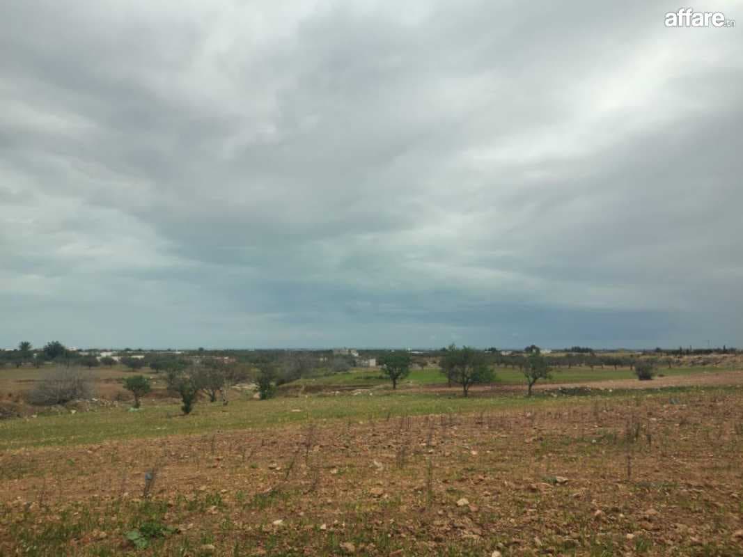 Terrain Agricole 625 à Lassoueda Sidi Bouzid