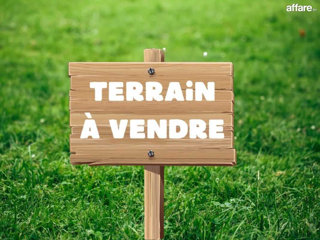 Terrains a vendre à jaafar