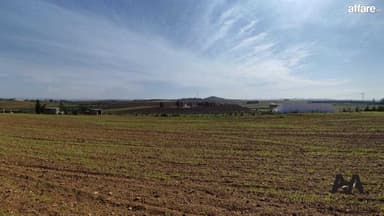 Terrain agricole de 5000 m² à Borj El Amri