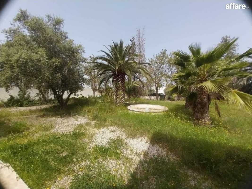 📍ZAGHOUAN ( SMINJA ) :  OPPORTUNITÉ  FERME À VENDRE