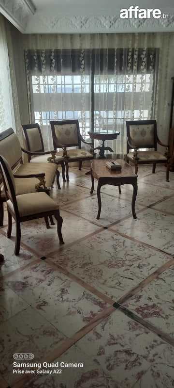 Salon antique importé sans tables