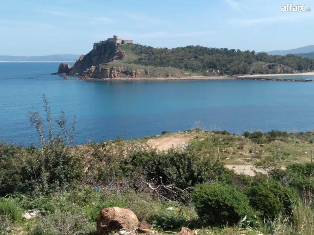 TERRAIN VUE 100% SUR MER A TABARKA