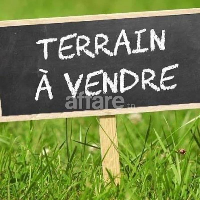 Terrain agricole à vendre 
