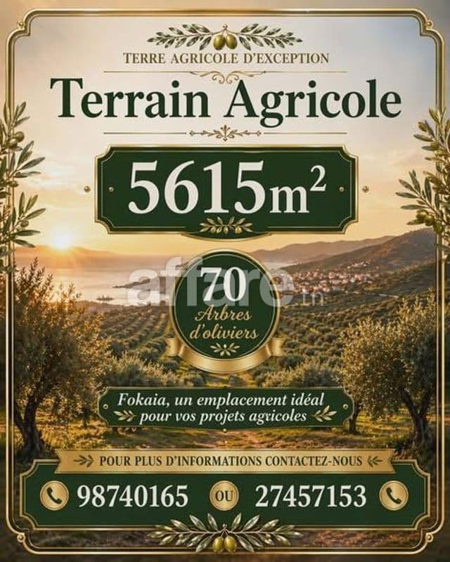 #Terrain d'invesstisement [#5615m²] #Sur l'autoroute #Fokaia