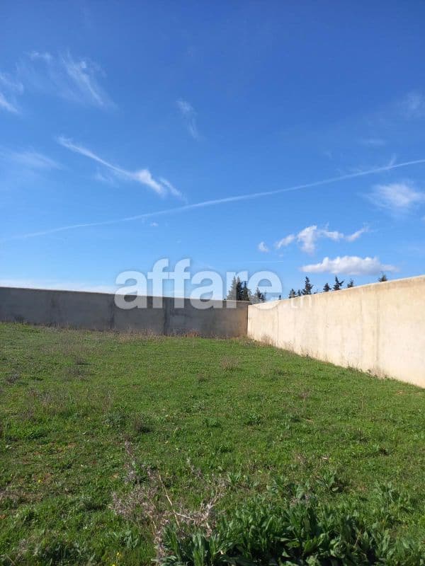 Terrain  entièrement clôturé de 8200m² à HAMMAMET 