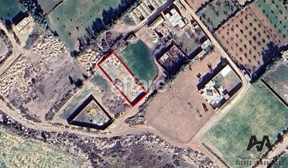 Terrain agricole de 800m² à el Maamoura