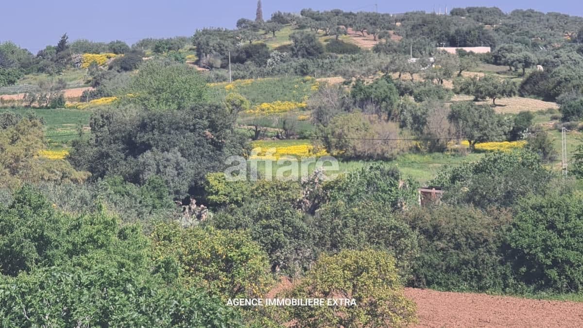 Terrain à vendre à Somâa – Lotissement approuvé