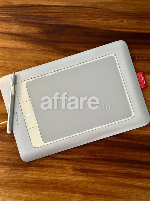 Tablette graphique Wacom Bamboo Fun CTH-661 (Grand format A4