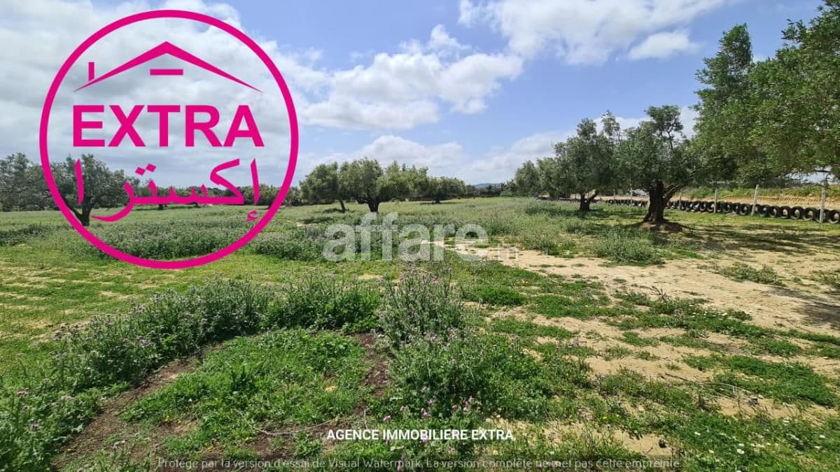 Opportunité unique – Campagne à Nabeul, route Tunis