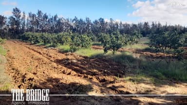 Ferme de 13 hectares à Gobet l’agha