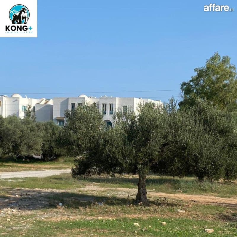 #terrain a vendre#  ☎️97.621.860☎️