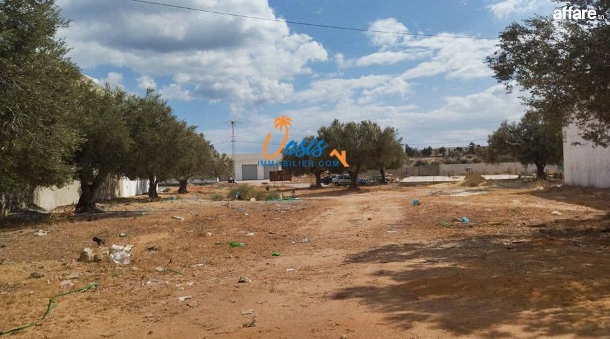 A vendre terrain en face de jinene Hammamet