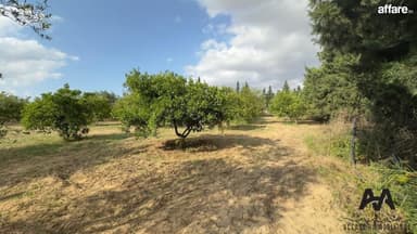 Terrain agricole de 2500 m² à El Machrouha, Gouvernorat de N