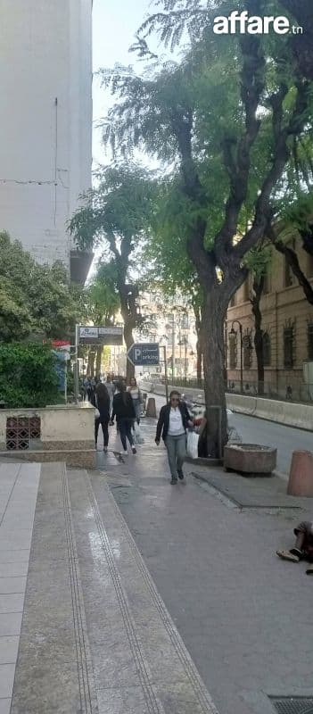Appartement meublé cv Tunis par jour 