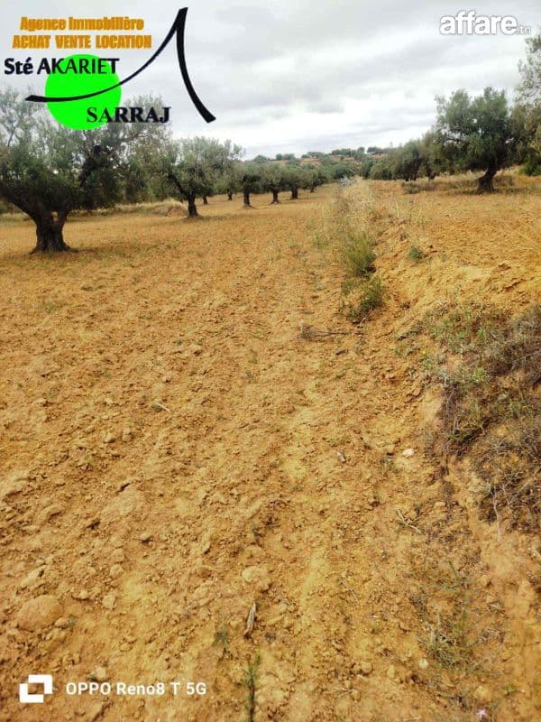 #A VENDRE #Terrain Agricole [#14000m²] #Kalaa Kebira