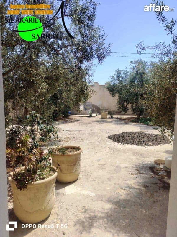 #A VENDRE #Senia #Clôturé [#12000m²]#kalaa kbira (#Chiab)