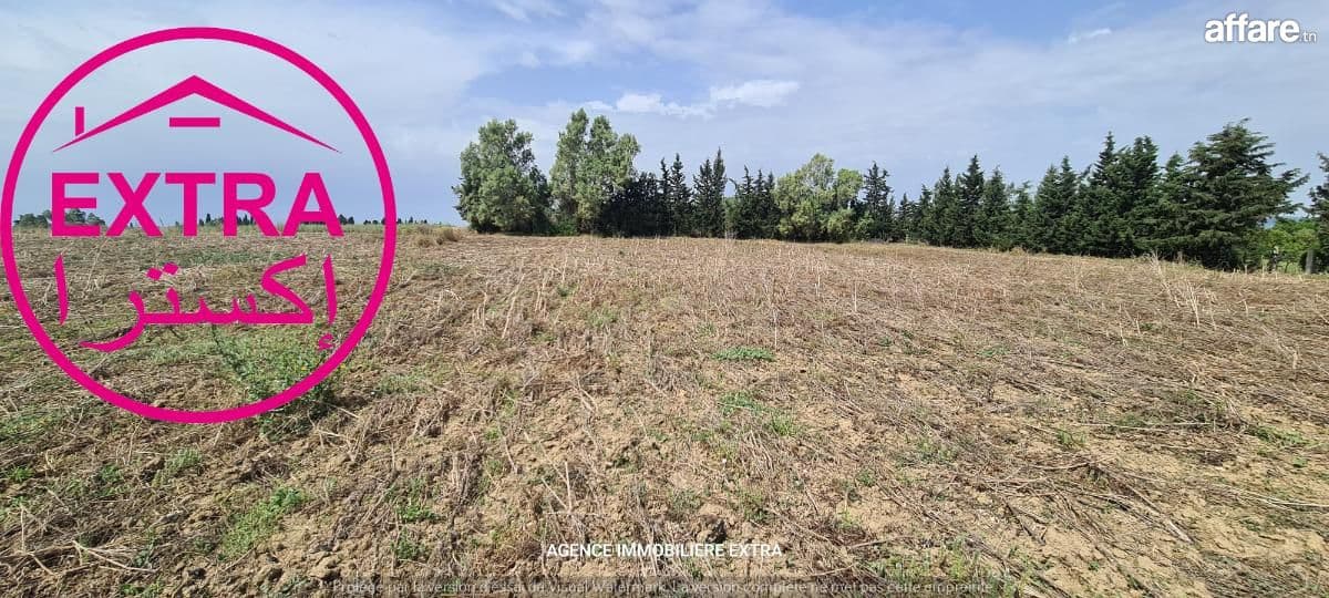 Campagne à El Machrouha (Bou Argoub)
