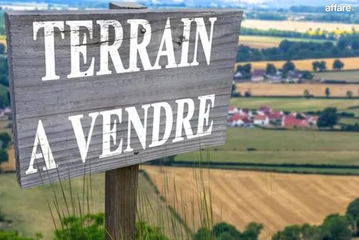un terrain au lac1