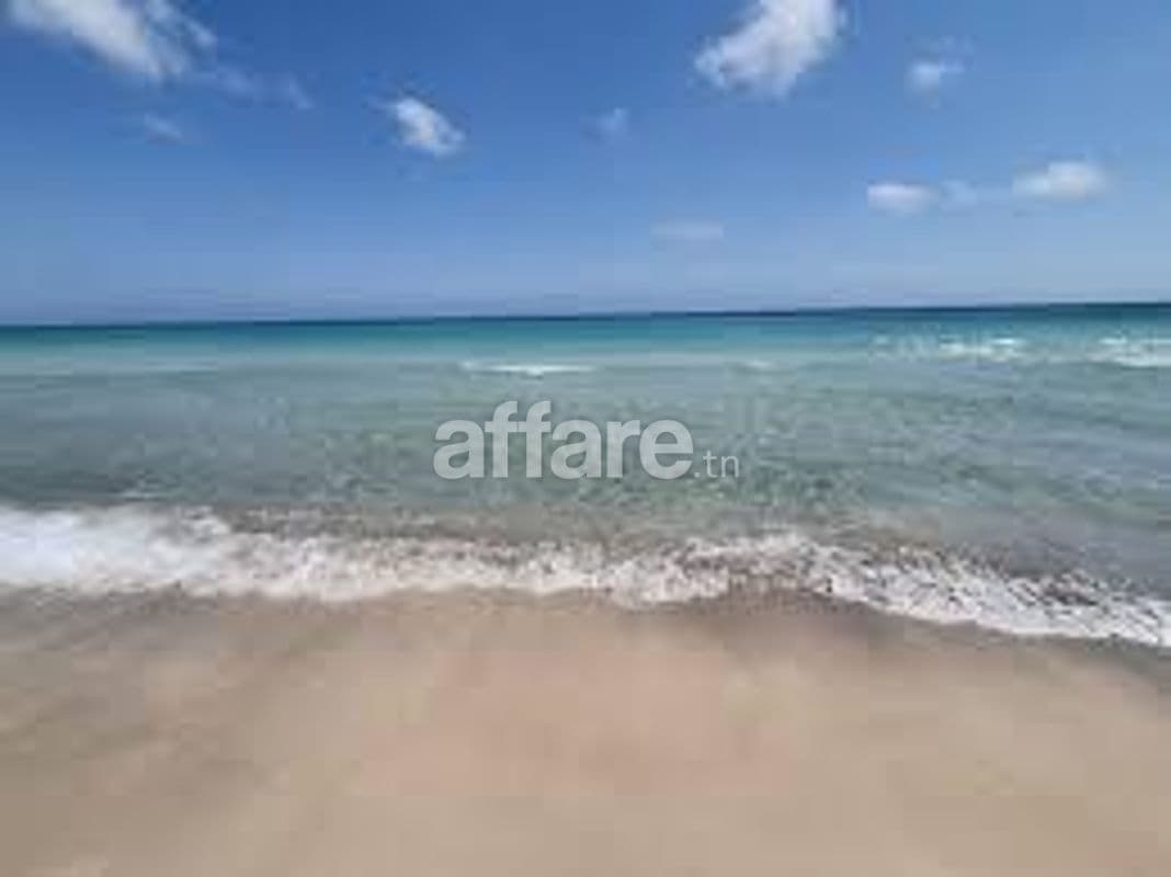 Bonne affaire de 50000 m²