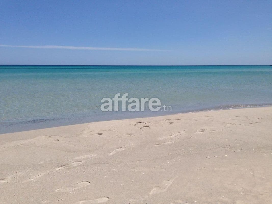 Investissement terrain de 50000 m²