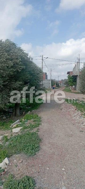 2 terrains à vendre Korba route de Tunis