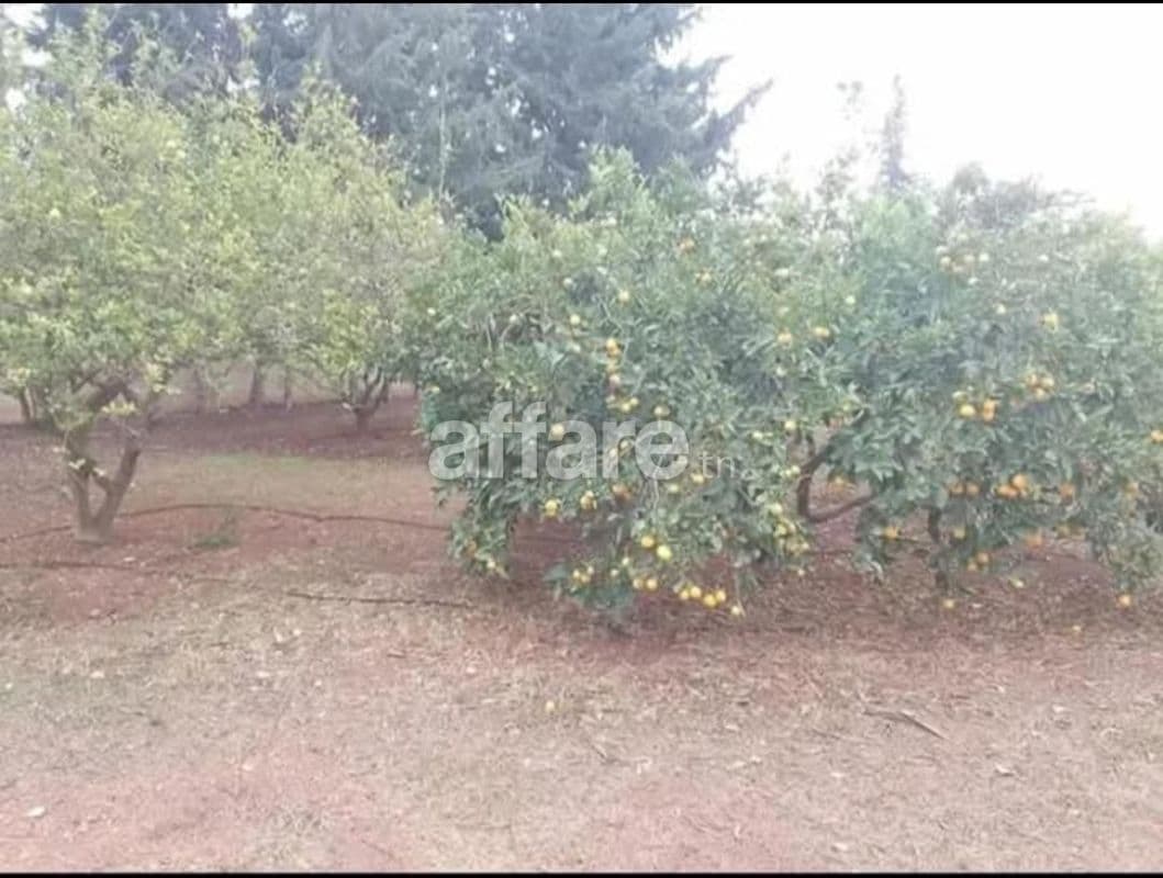 Terrain ezzahra 500m2 fait angle