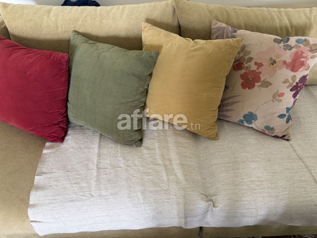 Coussins décoratifs