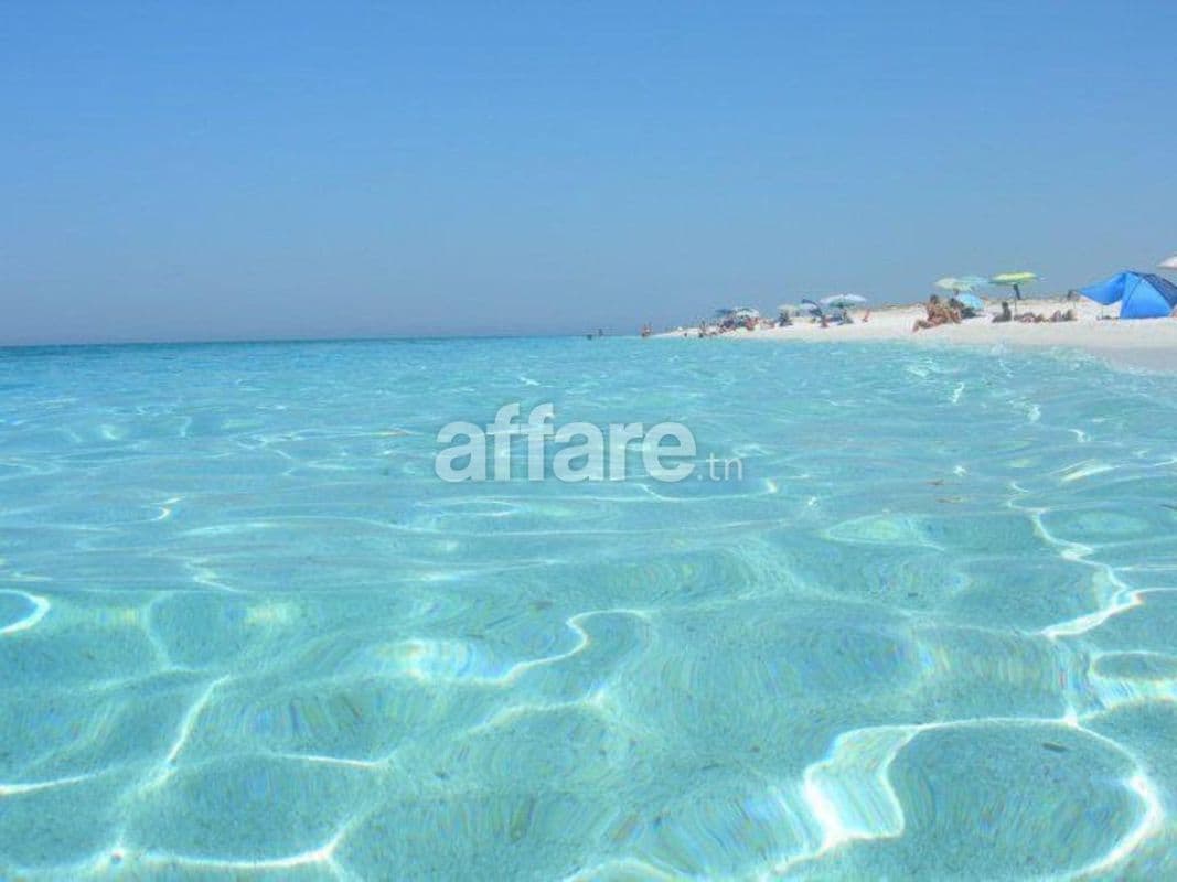 Investissez 5 ha à 200 m a la plage