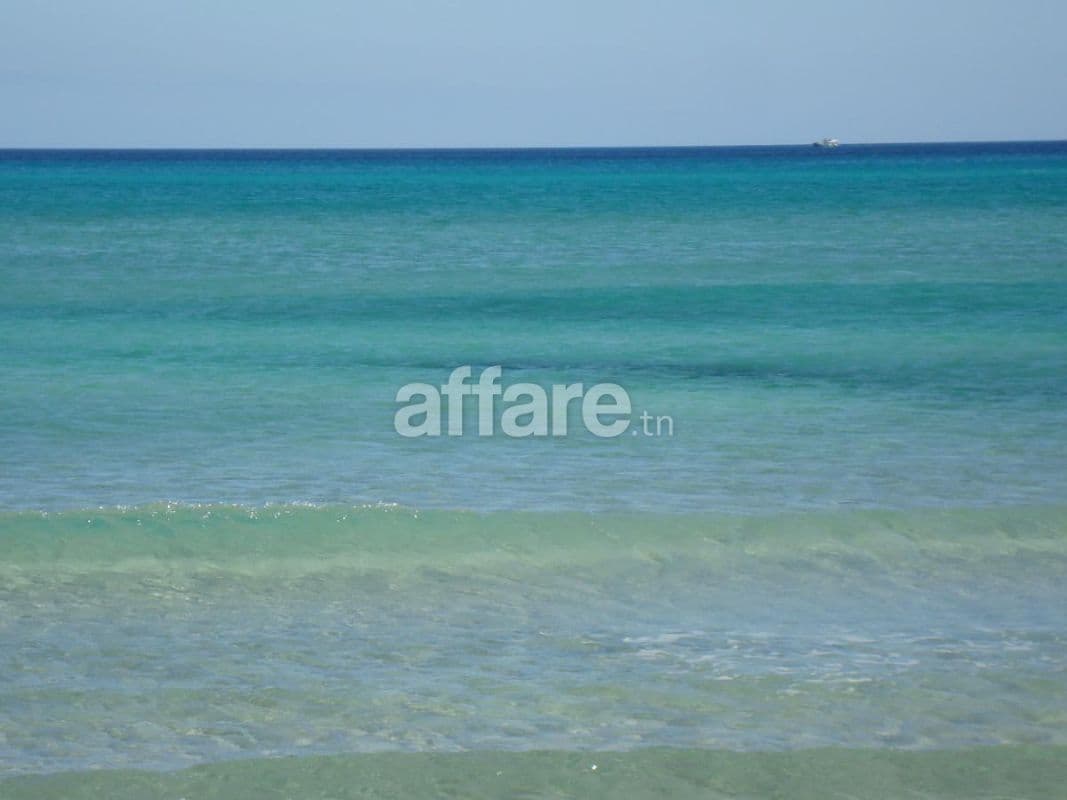 Offre de 5 ha pour investir