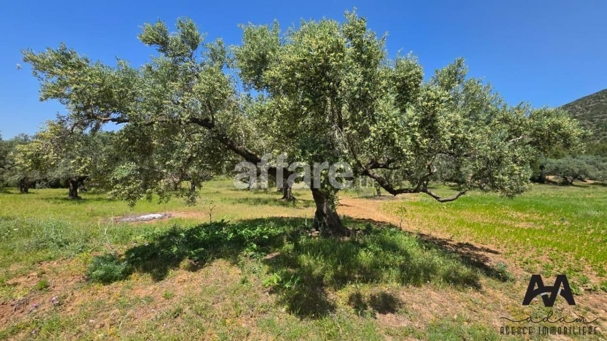 Terrain agricole de 10000 m² à Mornag