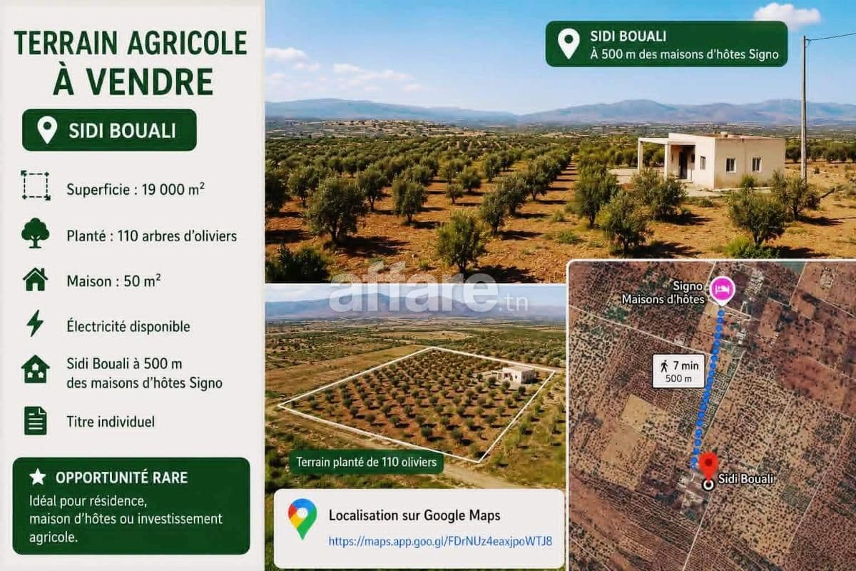 Terrain Agricole 19000m² à 500m des Maisons d hôtes Signo