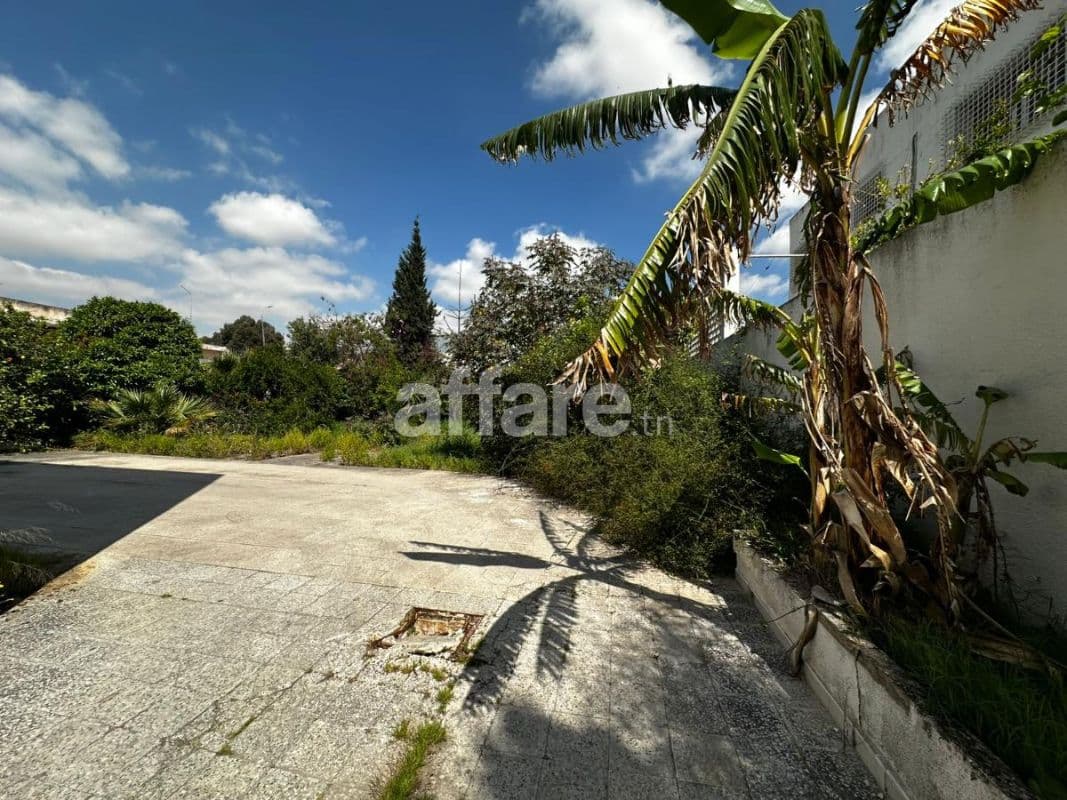EL MENZAH 1 OPPORTUNITÉ VILLA À VENDRE À EL MENZAH 1