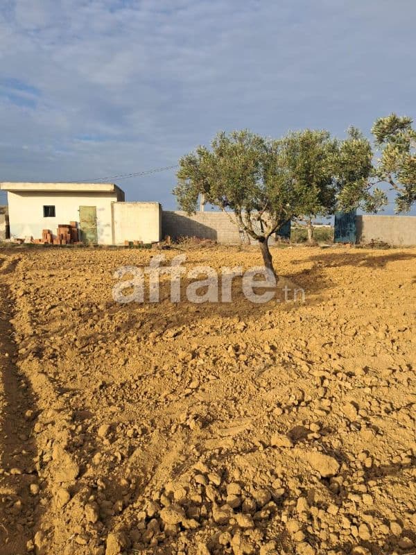 Terrain à Rmila chott meriem sousse - superficie 3873 m2
