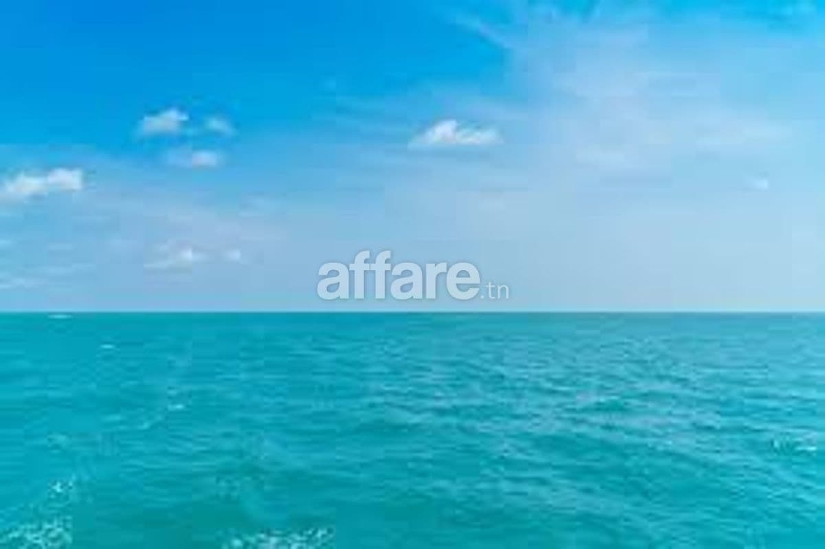 Offre exceptionnelle de 5 hectare