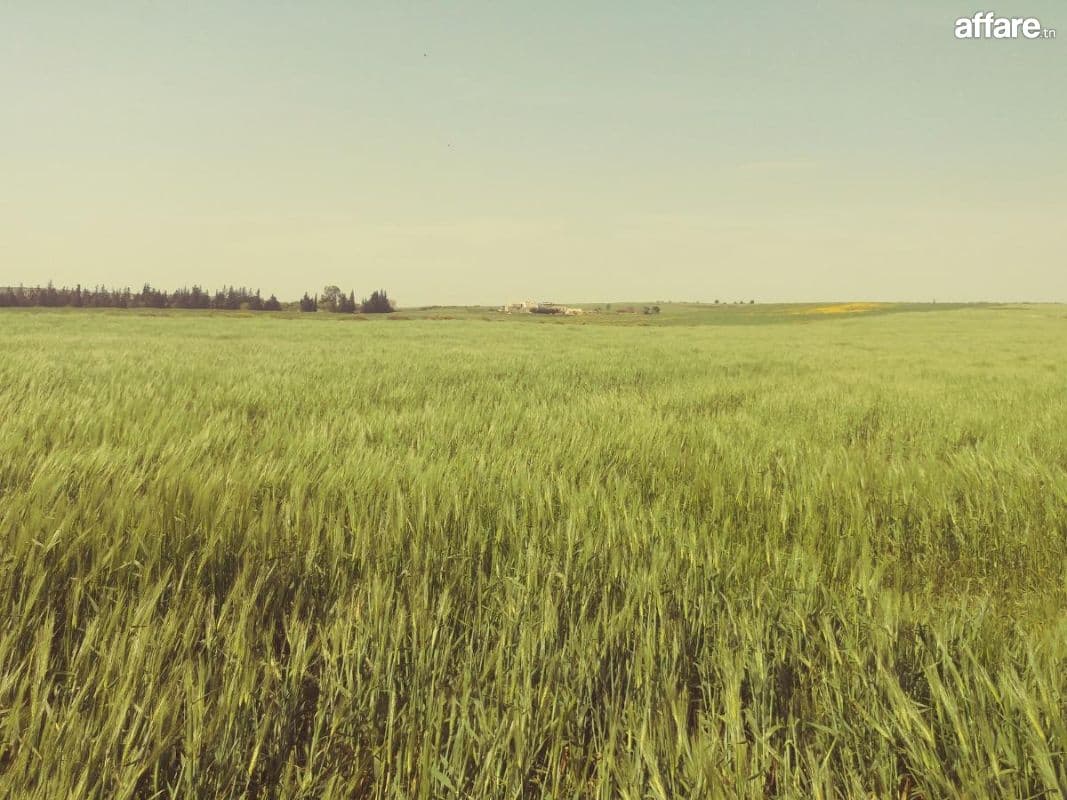  2 hectares pour une petite ferme