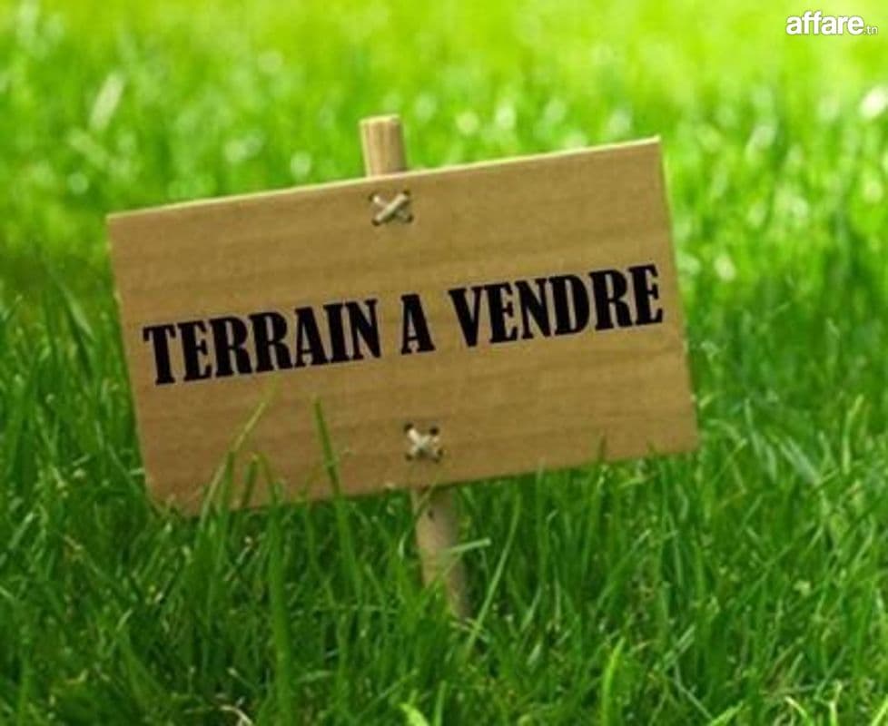Terrain à vendre 
